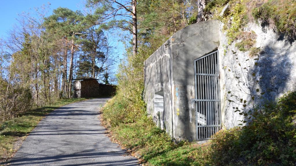 T Rchen Auf F R Den Bunker Im Schattdorfer Bannwald Urner Wochenblatt